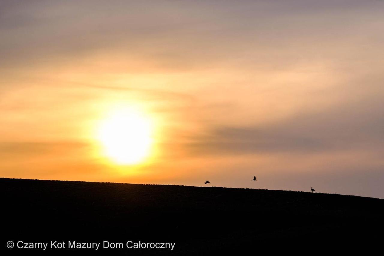 Malkinie Czarny Kot Mazury Dom Calorocznyヴィラ エクステリア 写真